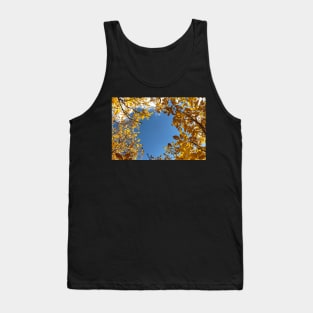 Blue sky surrounded by yellow leaves Tank Top